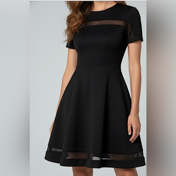 Black Contrast Mesh A-line Dress - Picture 2 of 6